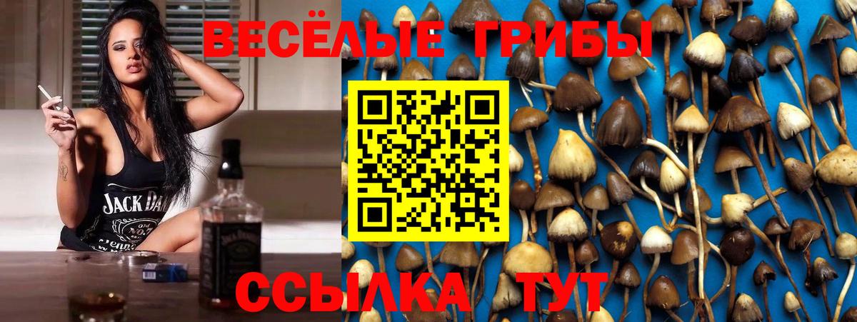 Псилоцибиновые грибы мицелий  Вход с VPN  Юрга 